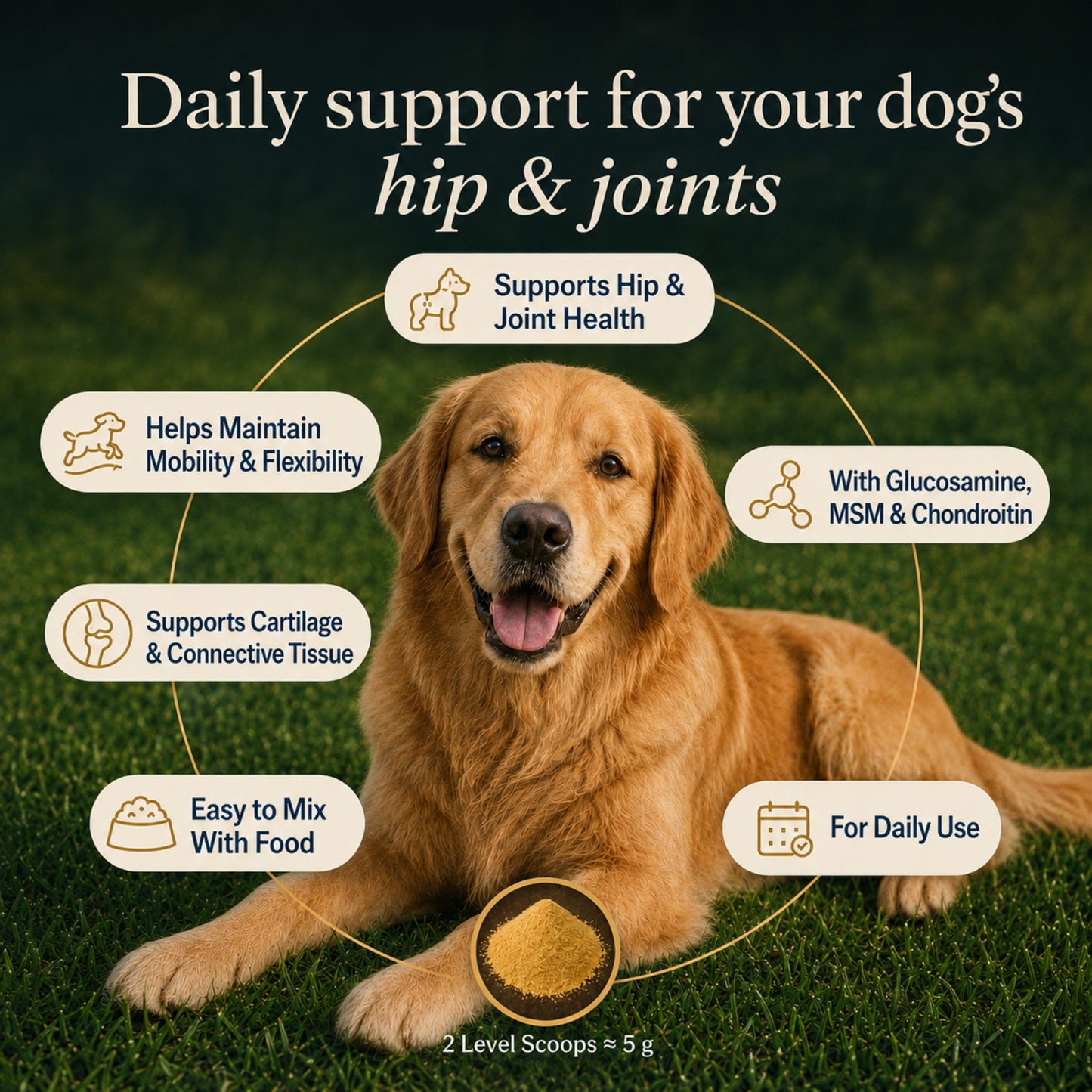 Zubest Dog Hip & Joint Support Powder