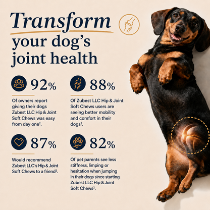 Zubest Dog Hip & Joint Support Soft Chews