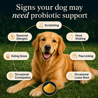 Zubest Dog Probiotic Powder
